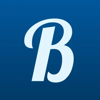 Боларс, магазин, лого-визитка